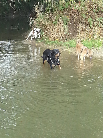 med_Atos im Bade.jpg (360 x 480)